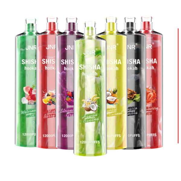 JNR Shisha 12000 Puffs - puff jnr shisha 12000